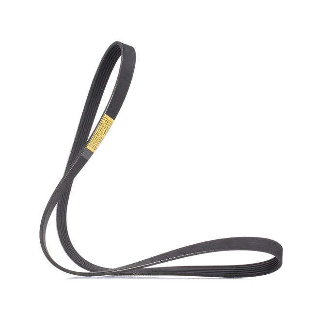 V-Ribbed Belt RIDEX 305P0501 305P0501 - photo 1