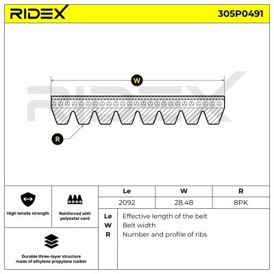 V-Ribbed Belt RIDEX 305P0491 305P0491 - photo 5
