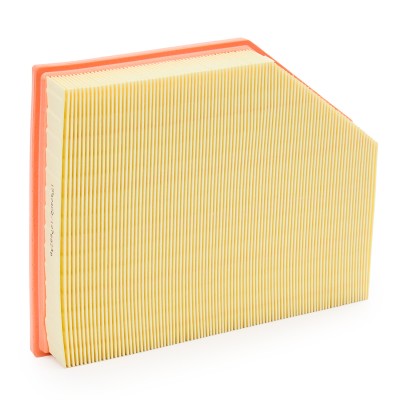 Air Filter RIDEX 8A0669 8A0669 - photo 9