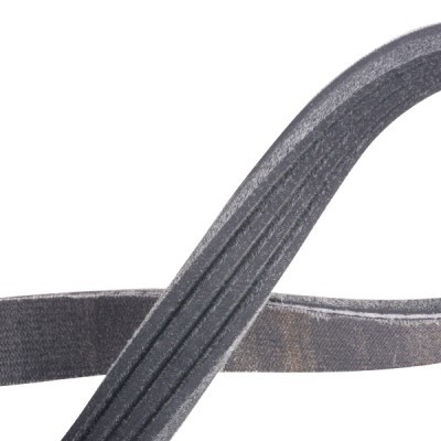 V-Ribbed Belt RIDEX 305P0168P 305P0168P - photo 5