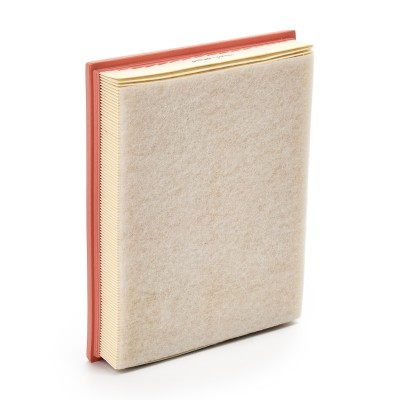 Air Filter RIDEX 8A0444 8A0444 - photo 9
