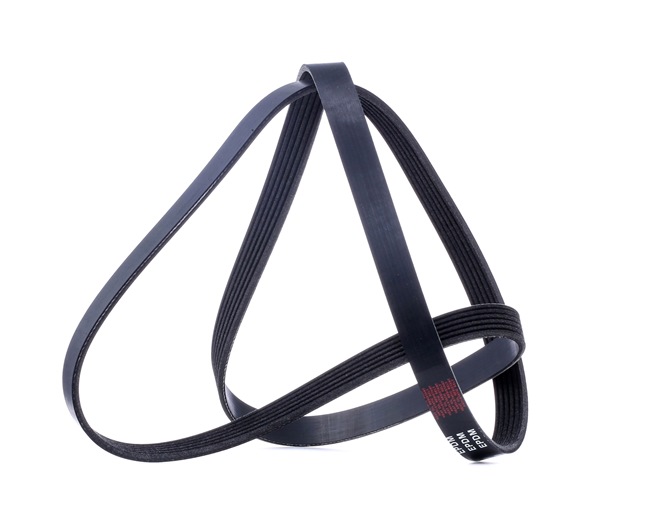 V-Ribbed Belt RIDEX 305P0080 305P0080 - photo 1
