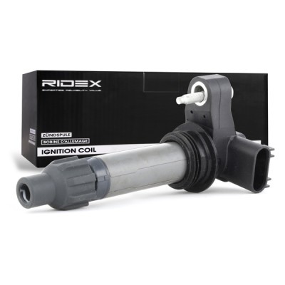 Ignition Coil RIDEX 689C0216 689C0216 - photo 3