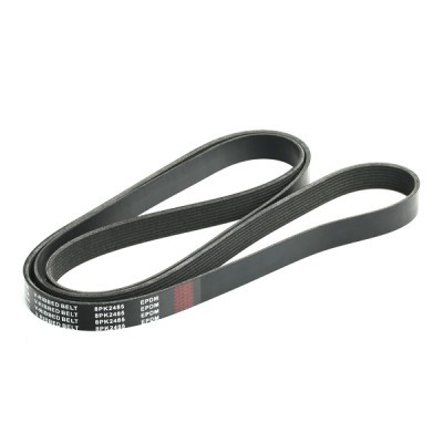 V-Ribbed Belt RIDEX 305P0318 305P0318 - photo 3