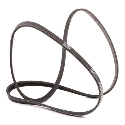 V-Ribbed Belt RIDEX 305P0250P 305P0250P - photo 3