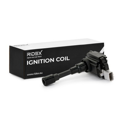 Ignition Coil RIDEX 689C0039 689C0039 - photo 2