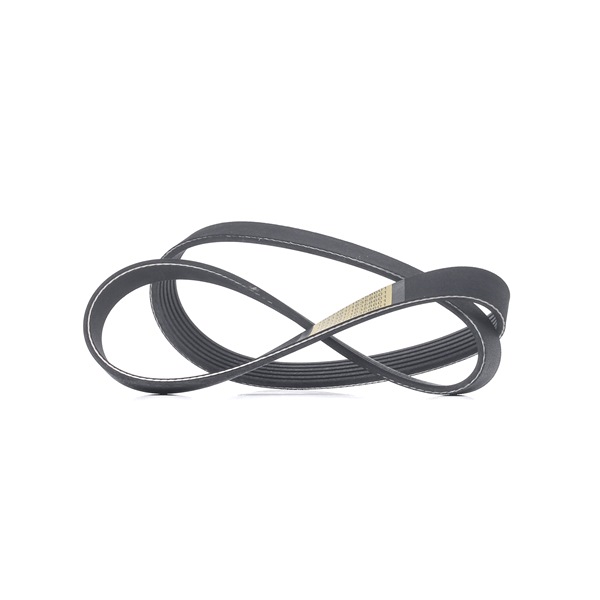 V-Ribbed Belt RIDEX 305P0494 305P0494 - photo 1