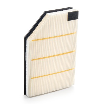 Air Filter RIDEX 8A0170 8A0170 - photo 9