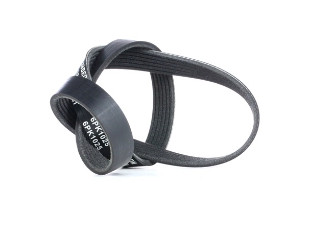 V-Ribbed Belt RIDEX 305P0398 305P0398 - photo 1