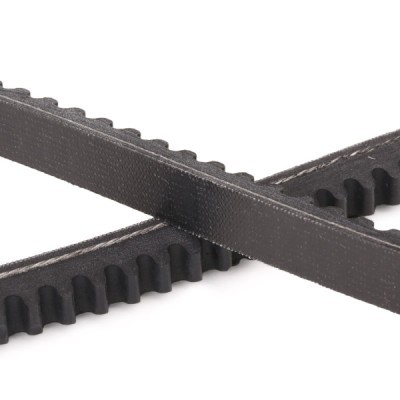 V-Belt RIDEX 10C0029P 10C0029P - photo 5