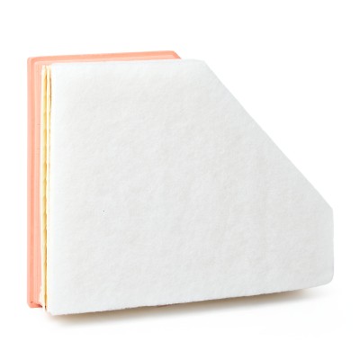 Air Filter RIDEX 8A0032 8A0032 - photo 8
