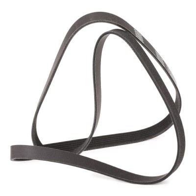 V-Ribbed Belt RIDEX 305P0147P 305P0147P - photo 3