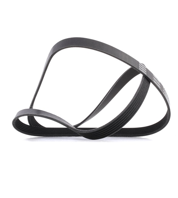 V-Ribbed Belt RIDEX 305P0080P 305P0080P - photo 1