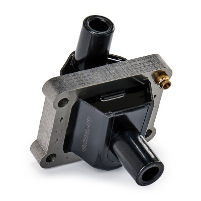 Ignition Coil RIDEX 689C0028 689C0028 - photo 6