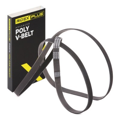 V-Ribbed Belt RIDEX 305P0216P 305P0216P - photo 2