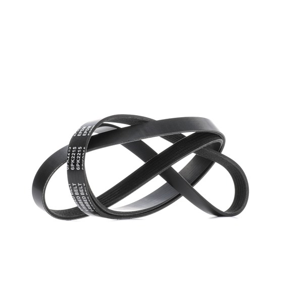 V-Ribbed Belt RIDEX 305P0531 305P0531 - photo 1