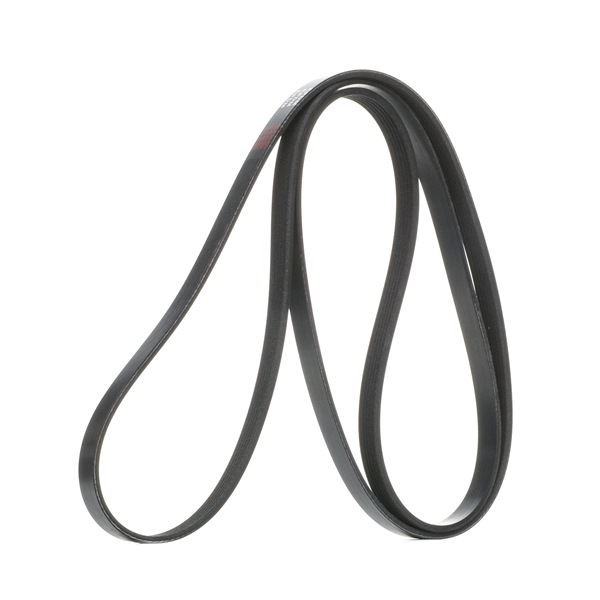 V-Ribbed Belt RIDEX 305P0248 305P0248 - photo 1