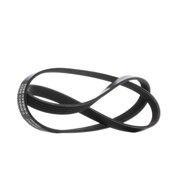 V-Ribbed Belt RIDEX 305P0545 305P0545 - photo 1