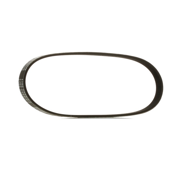 V-Ribbed Belt RIDEX 305P0615P 305P0615P - photo 1