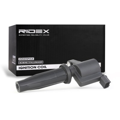 Ignition Coil RIDEX 689C0034 689C0034 - photo 3