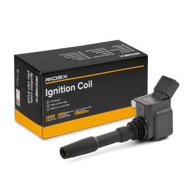 Ignition Coil RIDEX 689C0262 689C0262 - photo 2