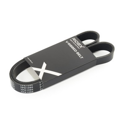 V-Ribbed Belt RIDEX 305P0569 305P0569 - photo 2