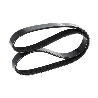 V-Ribbed Belt RIDEX 305P0296 305P0296 - photo 5