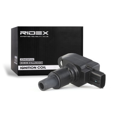 Ignition Coil RIDEX 689C0035 689C0035 - photo 2