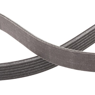 V-Ribbed Belt RIDEX 305P0333P 305P0333P - photo 5