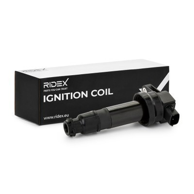 Ignition Coil RIDEX 689C0161 689C0161 - photo 2