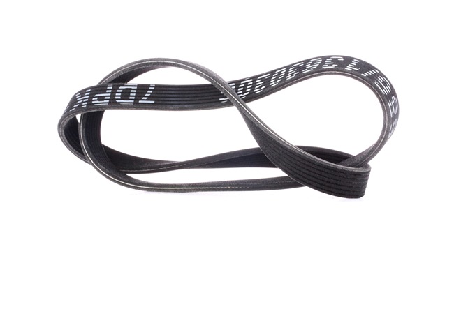 V-Ribbed Belt RIDEX 305P0356 305P0356 - photo 1