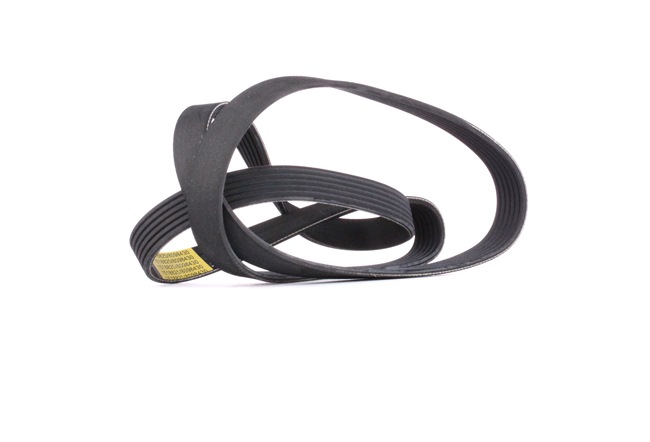 V-Ribbed Belt RIDEX 305P0087 305P0087 - photo 1