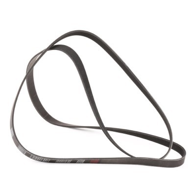 V-Ribbed Belt RIDEX 305P0109P 305P0109P - photo 3
