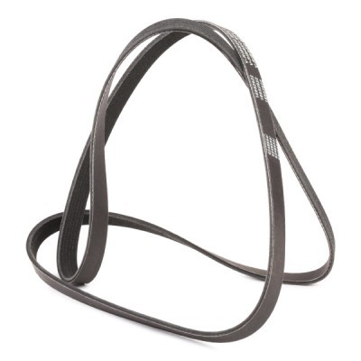 V-Ribbed Belt RIDEX 305P0146P 305P0146P - photo 3