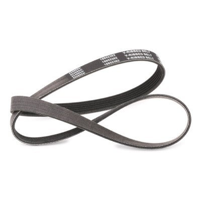 V-Ribbed Belt RIDEX 305P0062P 305P0062P - photo 3