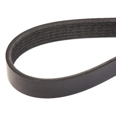 V-Ribbed Belt RIDEX 305P0123 305P0123 - photo 3