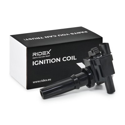 Ignition Coil RIDEX 689C0058 689C0058 - photo 2
