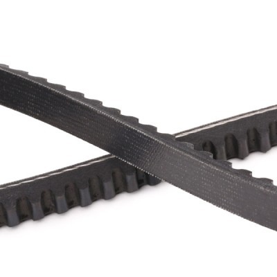V-Belt RIDEX 10C0018P 10C0018P - photo 5