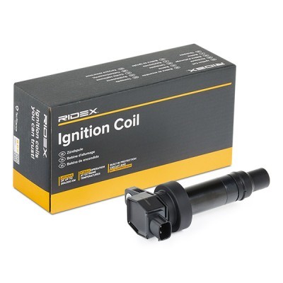 Ignition Coil RIDEX 689C0171 689C0171 - photo 2