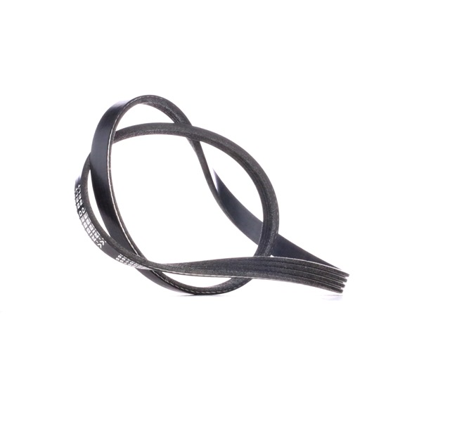V-Ribbed Belt RIDEX 305P0016 305P0016 - photo 1