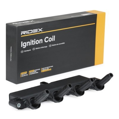 Ignition Coil RIDEX 689C0302 689C0302 - photo 2