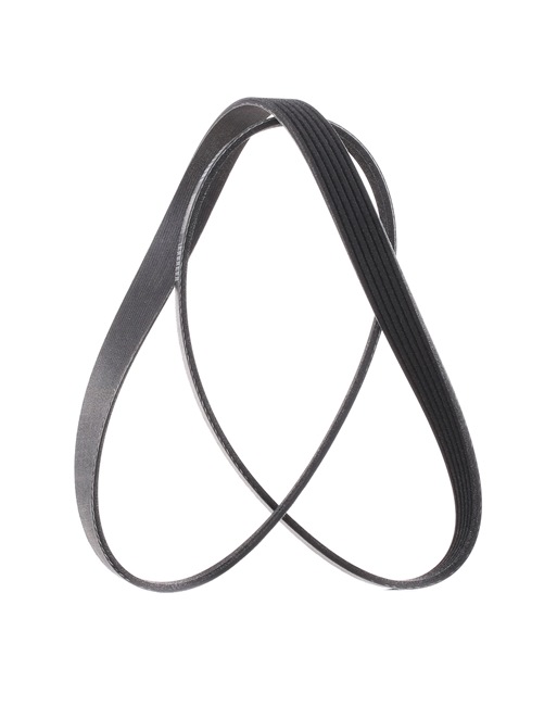 V-Ribbed Belt RIDEX 305P0399P 305P0399P - photo 1
