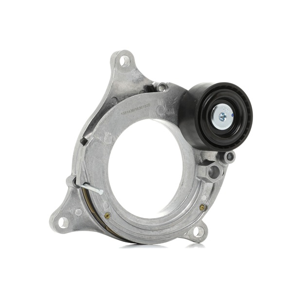 Transmission Mount RIDEX 249M0006 249M0006 - photo 1