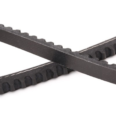 V-Belt RIDEX 10C0022P 10C0022P - photo 5
