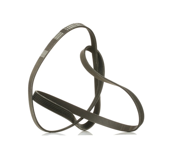 V-Ribbed Belt RIDEX 305P0243P 305P0243P - photo 1