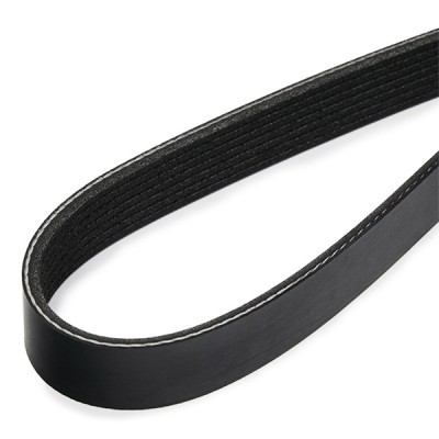 V-Ribbed Belt RIDEX 305P0603 305P0603 - photo 4