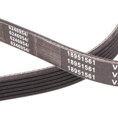 V-Ribbed Belt RIDEX 305B0285P 305B0285P - photo 6