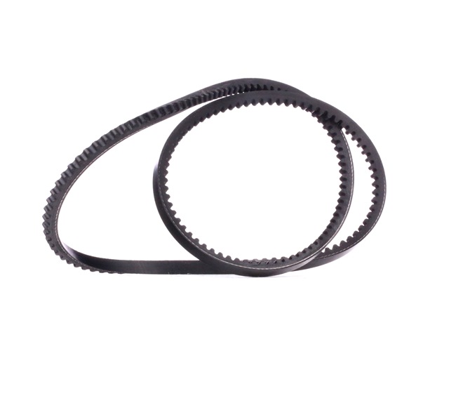 V-Belt RIDEX 10C0012 10C0012 - photo 1