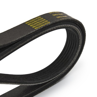 V-Ribbed Belt RIDEX 305P0173P 305P0173P - photo 5
