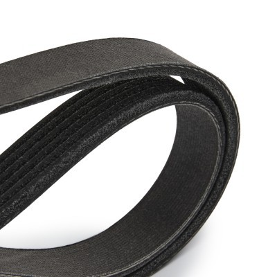 V-Ribbed Belt RIDEX 305P0236P 305P0236P - photo 5